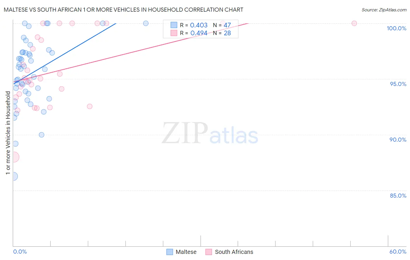Maltese vs South African 1 or more Vehicles in Household