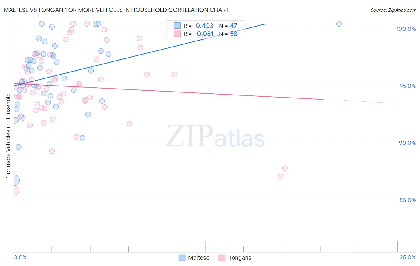 Maltese vs Tongan 1 or more Vehicles in Household