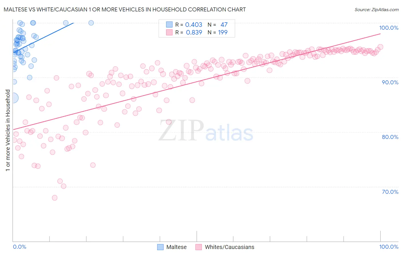 Maltese vs White/Caucasian 1 or more Vehicles in Household