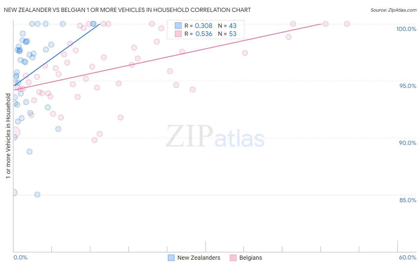 New Zealander vs Belgian 1 or more Vehicles in Household