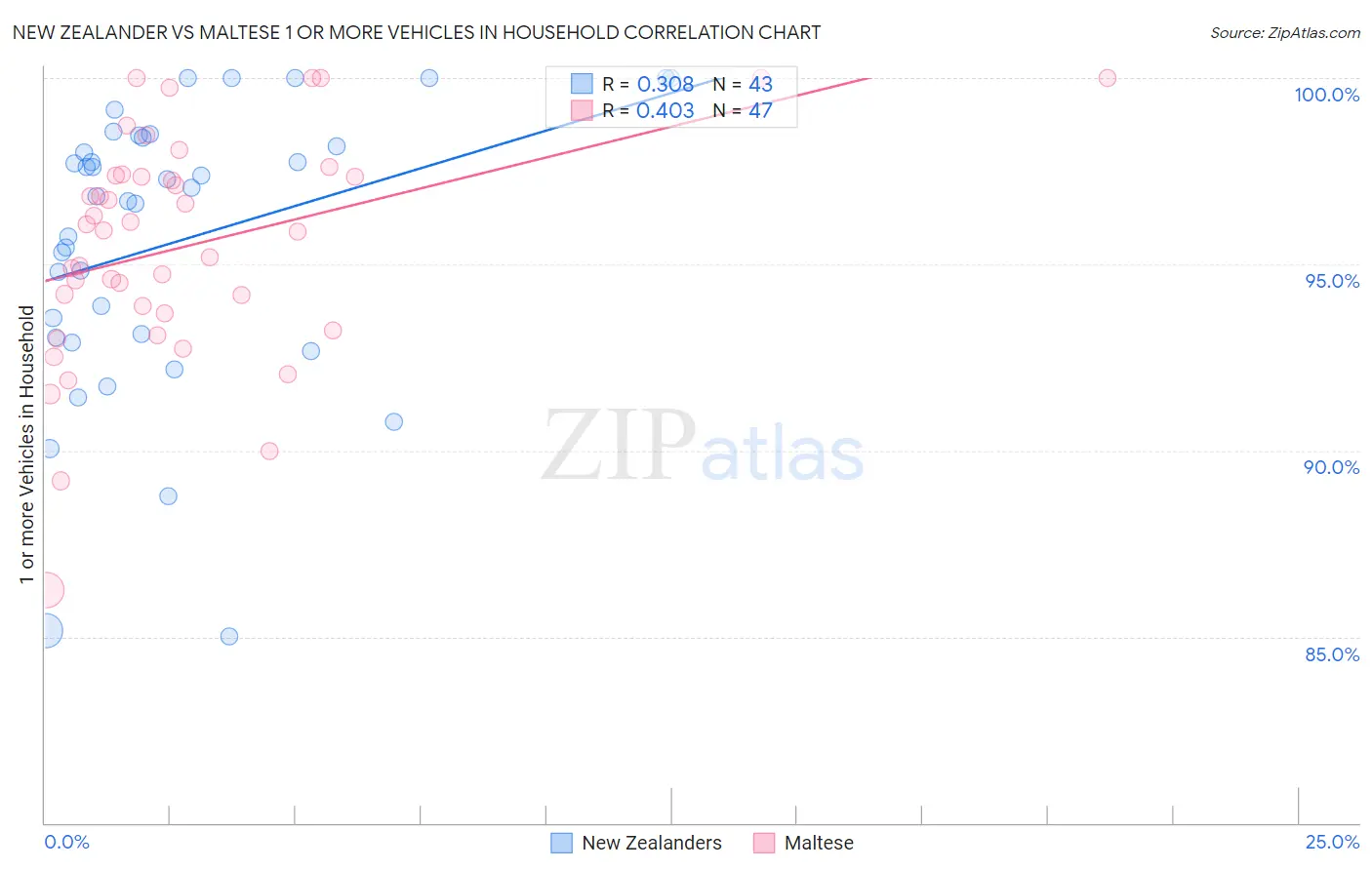 New Zealander vs Maltese 1 or more Vehicles in Household