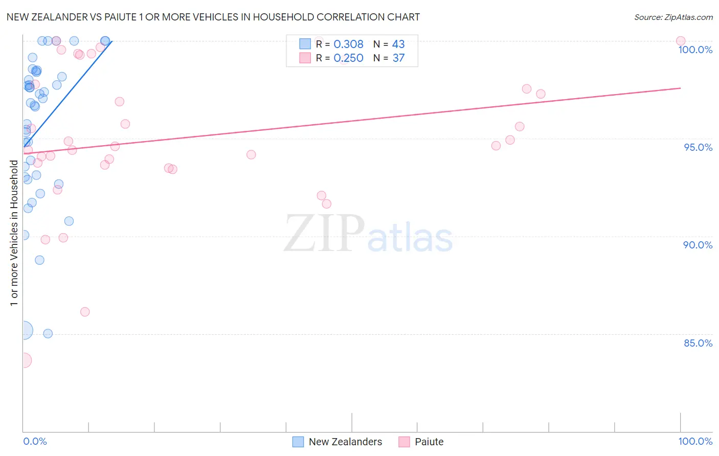 New Zealander vs Paiute 1 or more Vehicles in Household