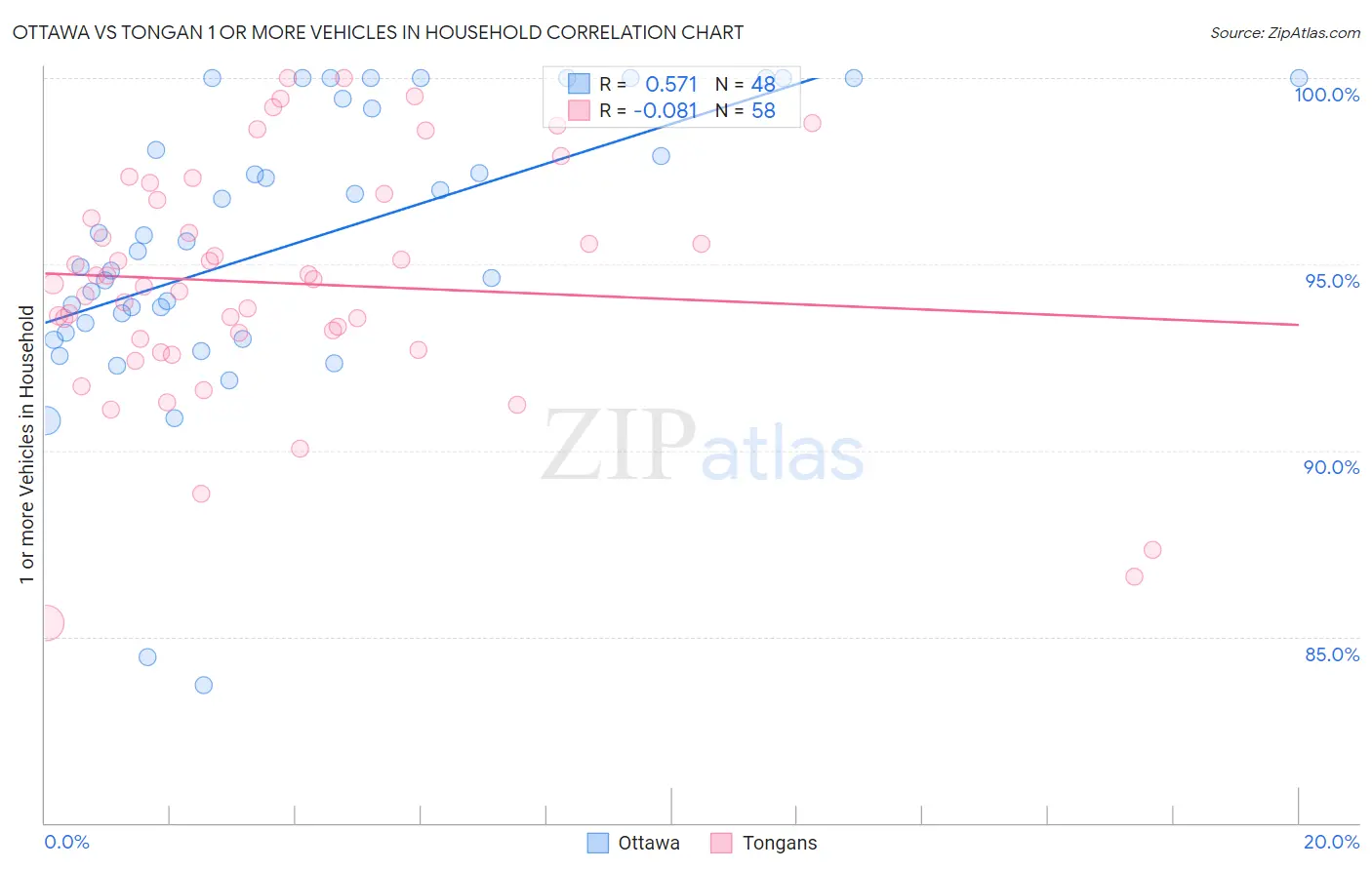 Ottawa vs Tongan 1 or more Vehicles in Household