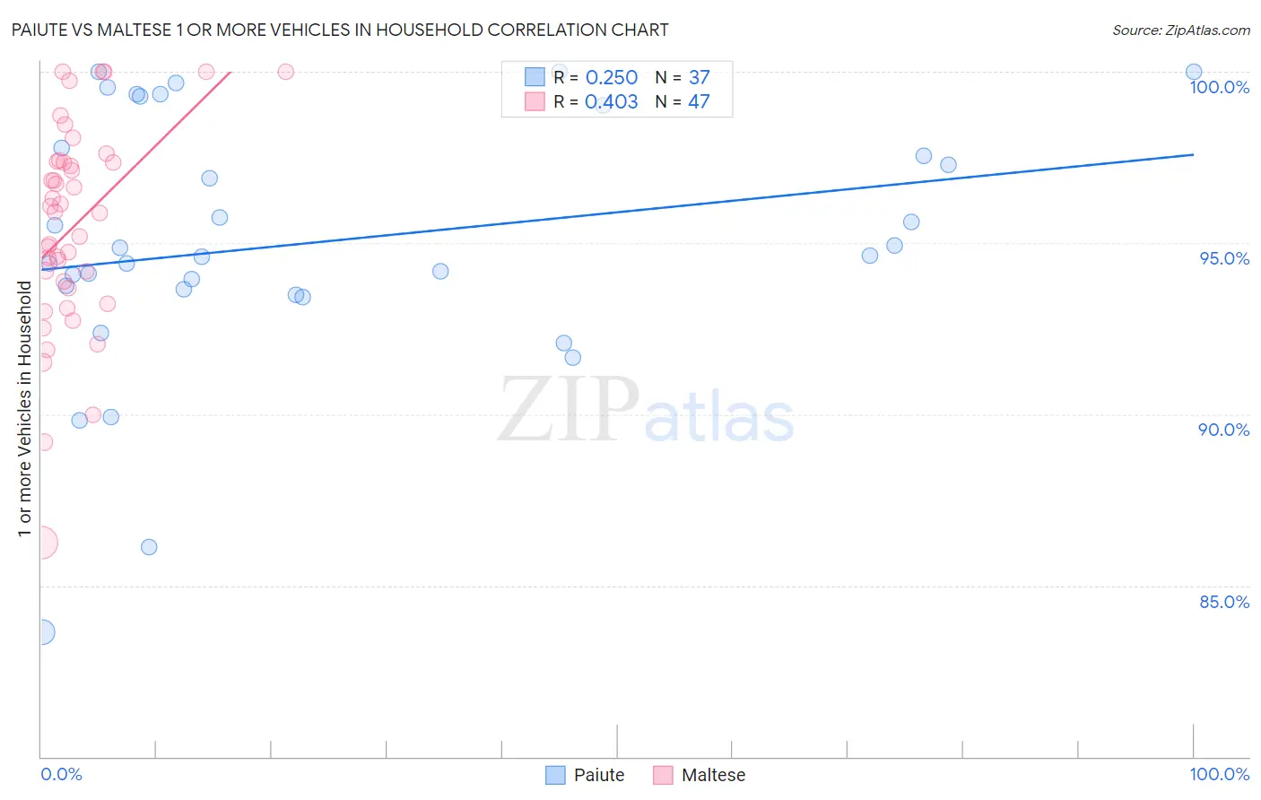 Paiute vs Maltese 1 or more Vehicles in Household