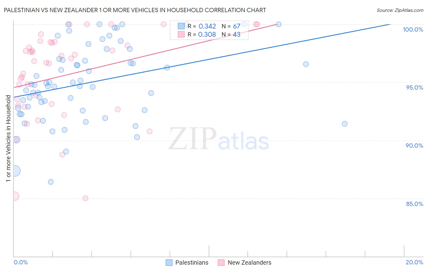 Palestinian vs New Zealander 1 or more Vehicles in Household