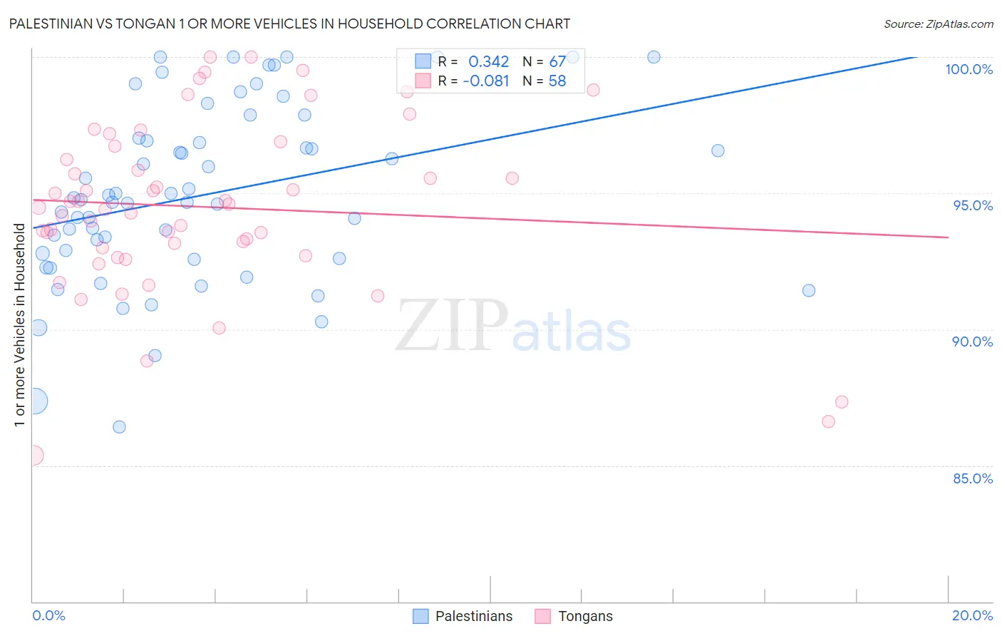 Palestinian vs Tongan 1 or more Vehicles in Household