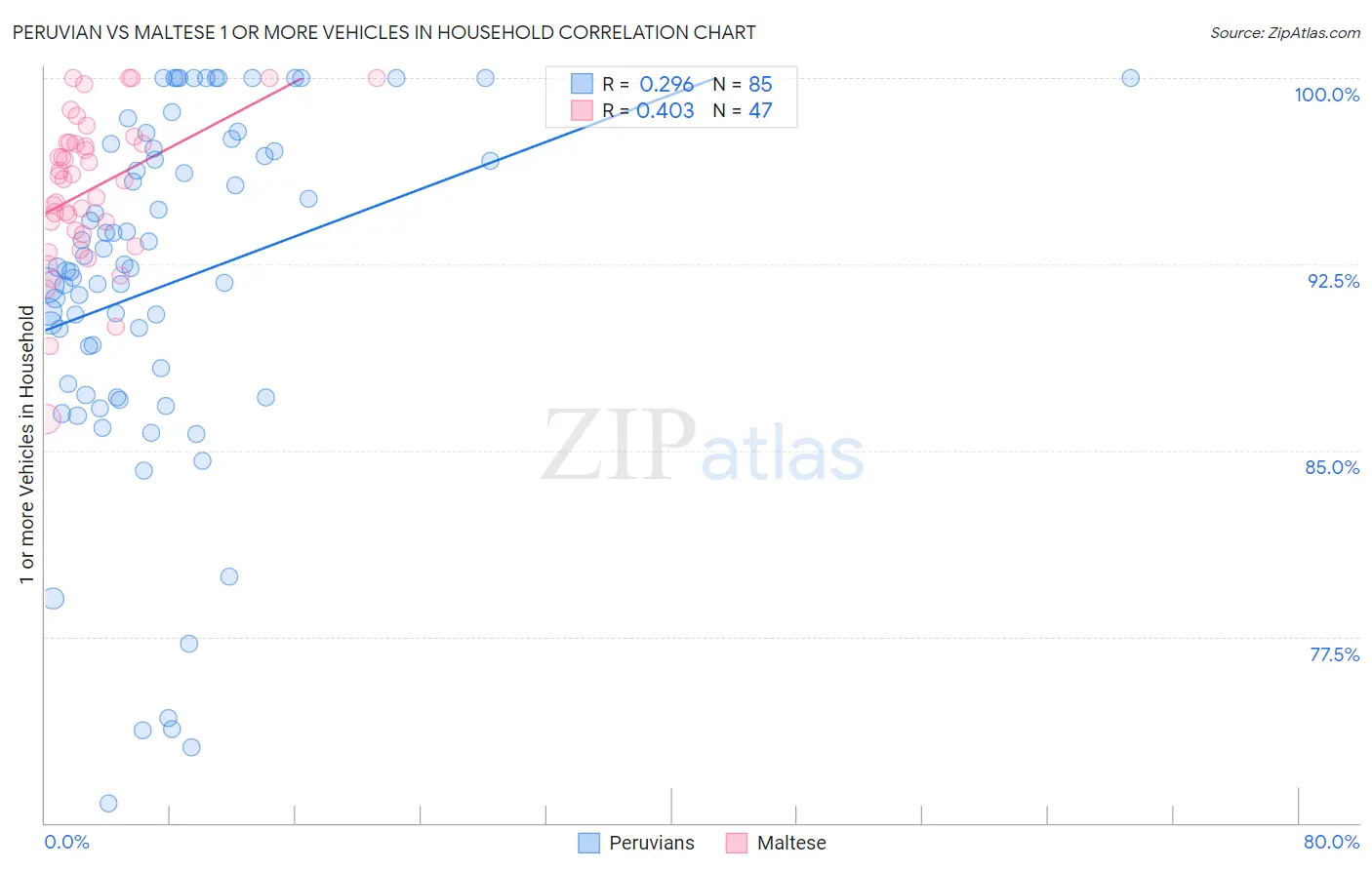 Peruvian vs Maltese 1 or more Vehicles in Household