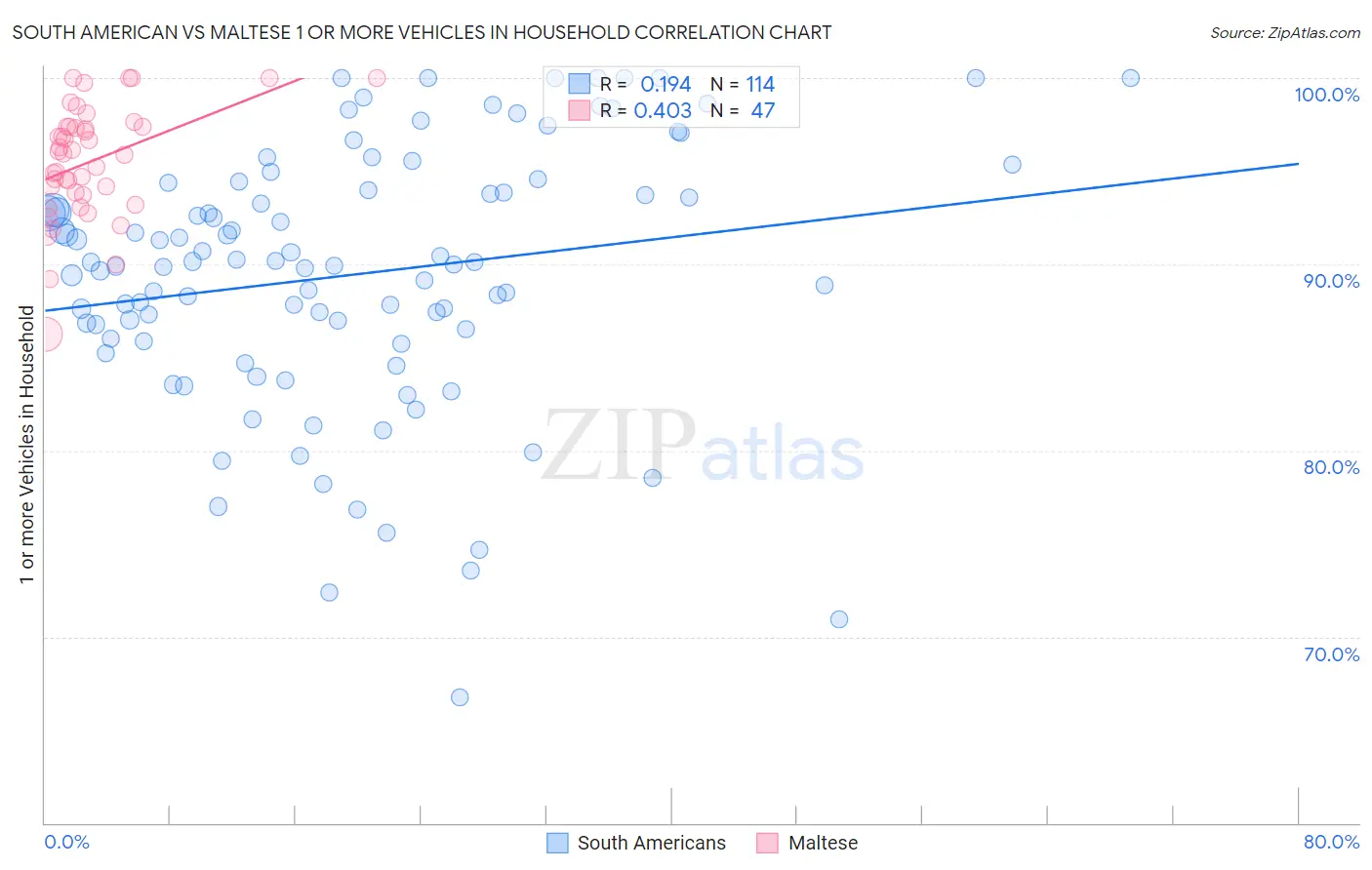 South American vs Maltese 1 or more Vehicles in Household