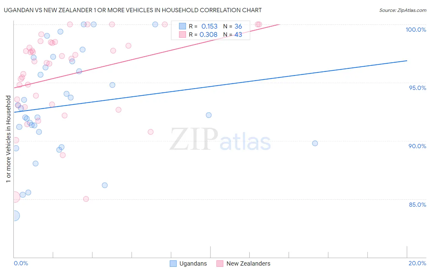 Ugandan vs New Zealander 1 or more Vehicles in Household