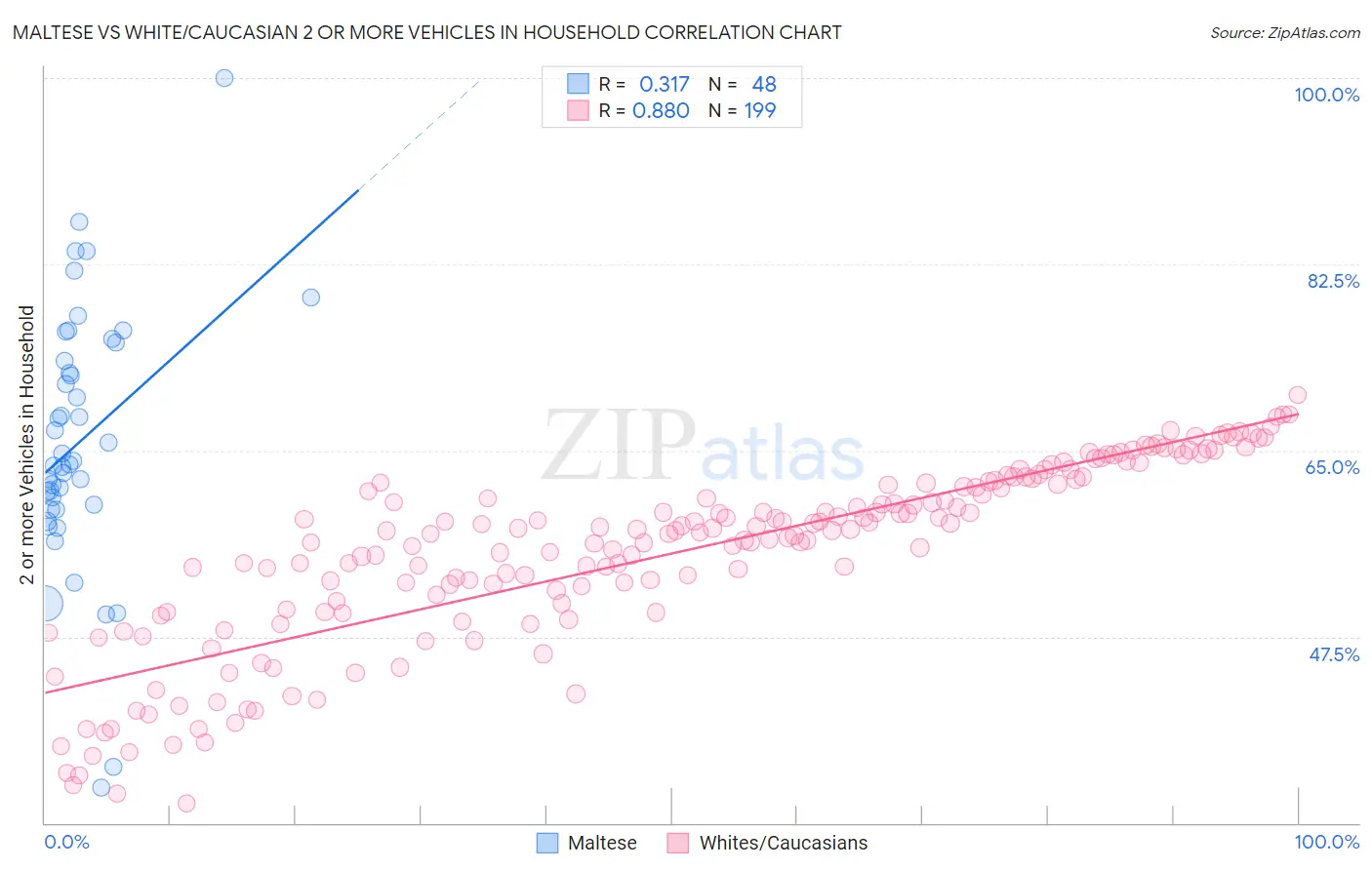 Maltese vs White/Caucasian 2 or more Vehicles in Household