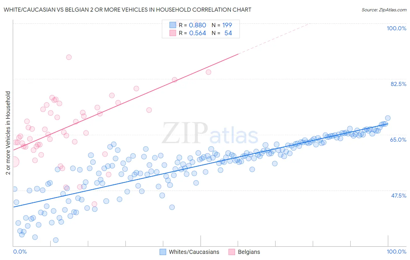White/Caucasian vs Belgian 2 or more Vehicles in Household