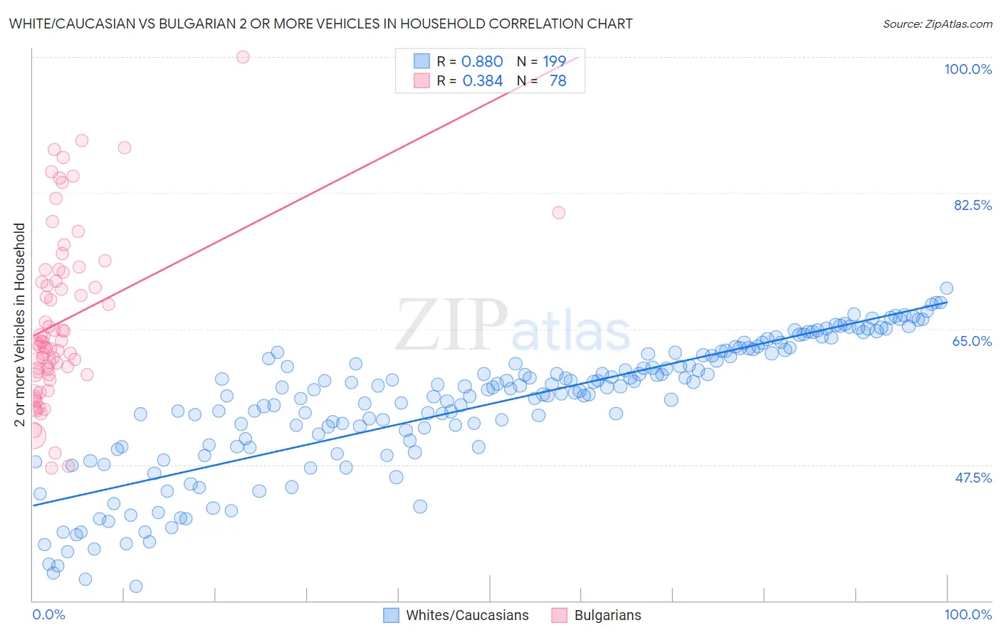 White/Caucasian vs Bulgarian 2 or more Vehicles in Household