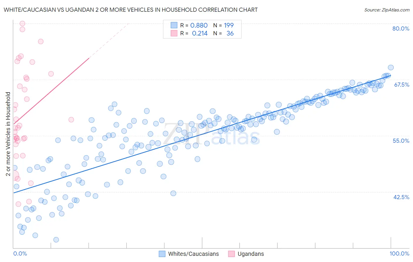 White/Caucasian vs Ugandan 2 or more Vehicles in Household