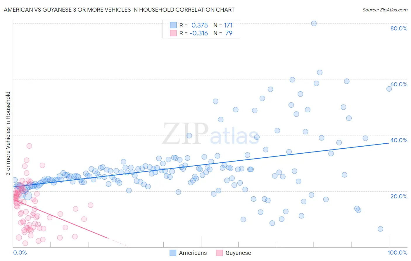 American vs Guyanese 3 or more Vehicles in Household