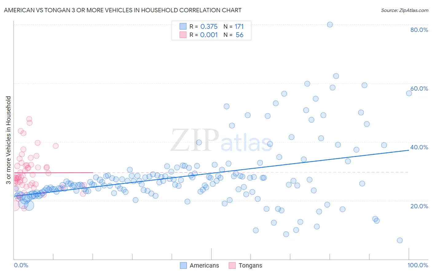 American vs Tongan 3 or more Vehicles in Household
