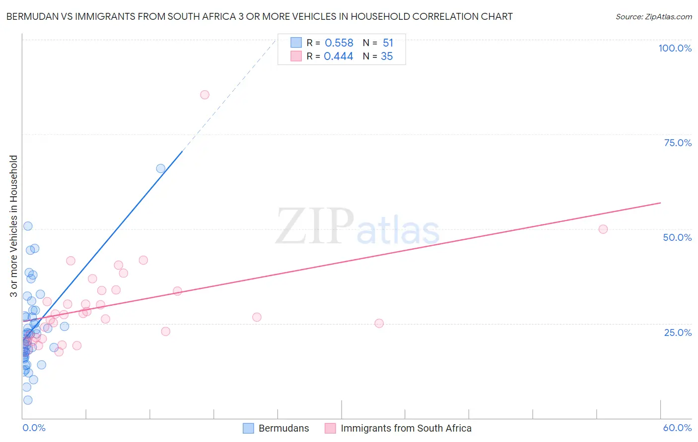 Bermudan vs Immigrants from South Africa 3 or more Vehicles in Household