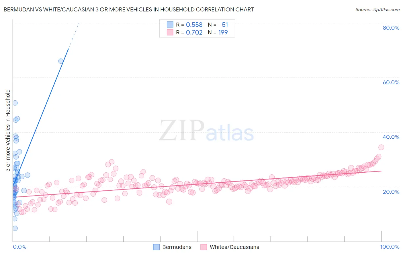 Bermudan vs White/Caucasian 3 or more Vehicles in Household