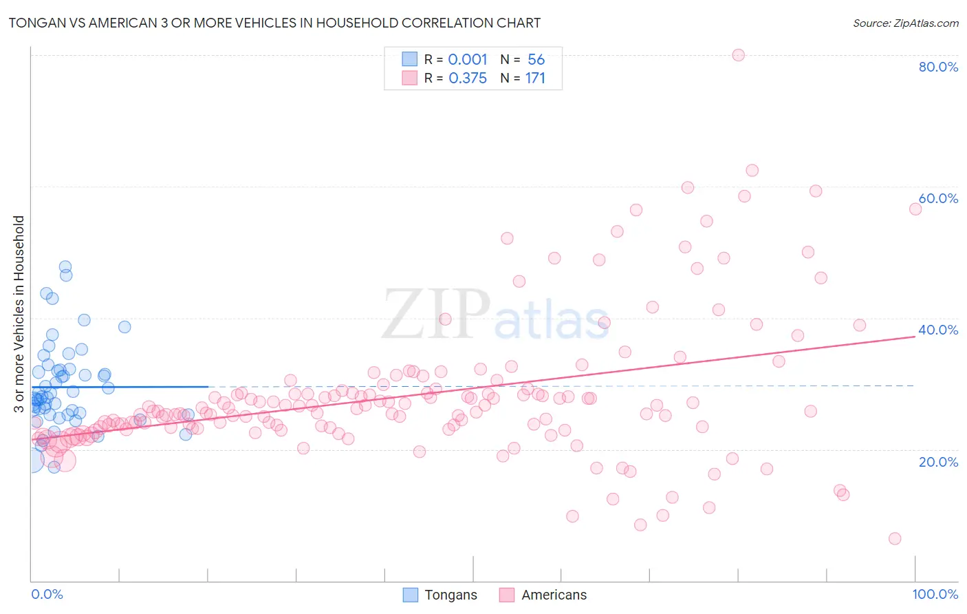 Tongan vs American 3 or more Vehicles in Household