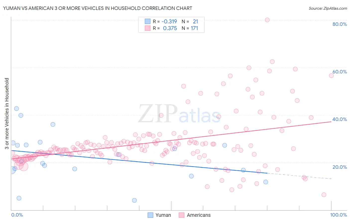 Yuman vs American 3 or more Vehicles in Household
