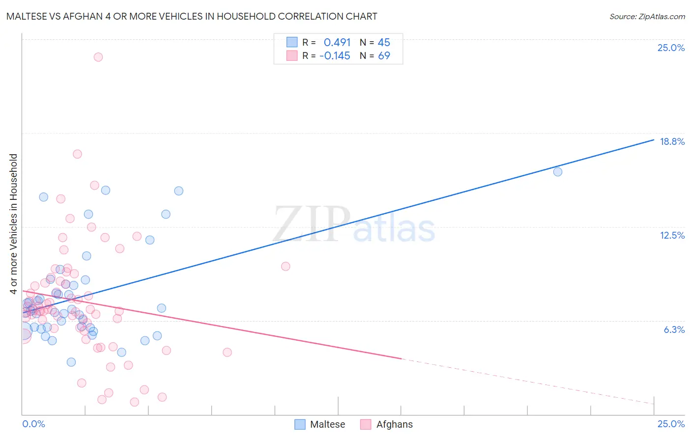 Maltese vs Afghan 4 or more Vehicles in Household