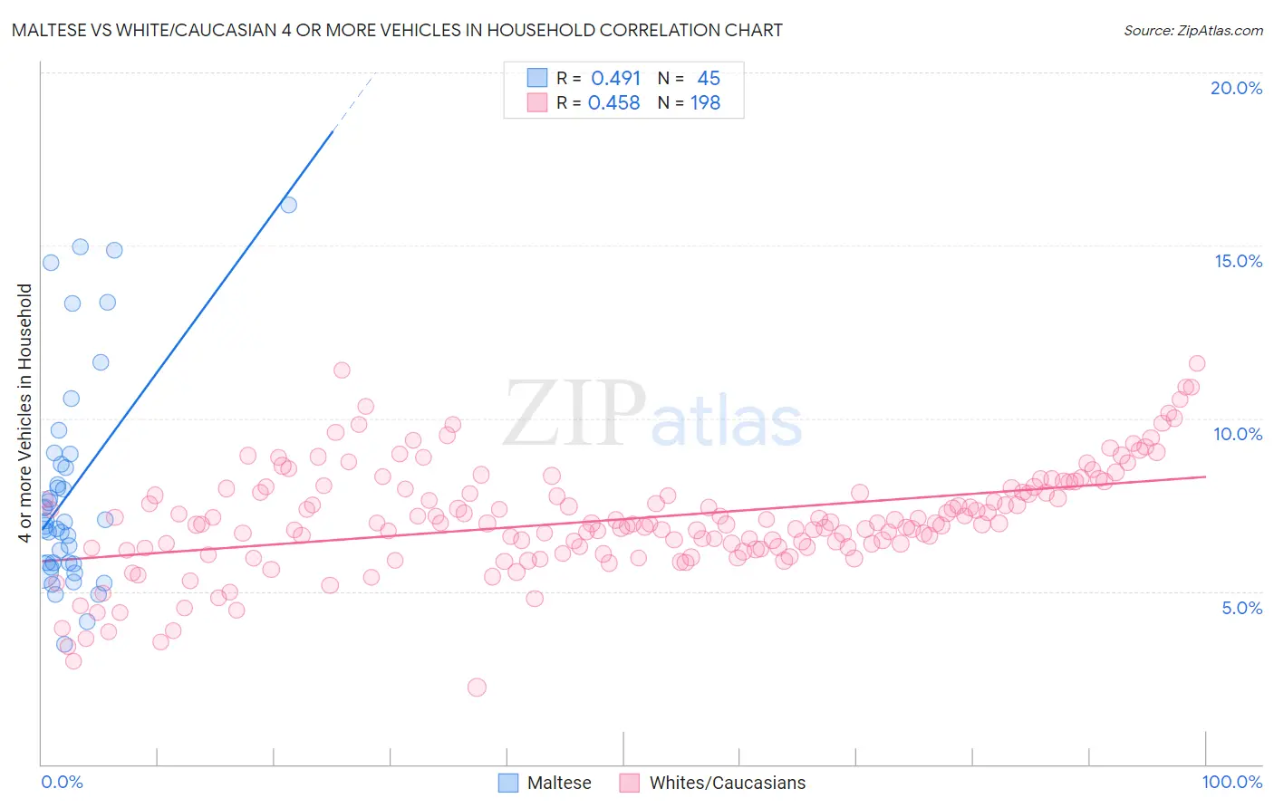 Maltese vs White/Caucasian 4 or more Vehicles in Household