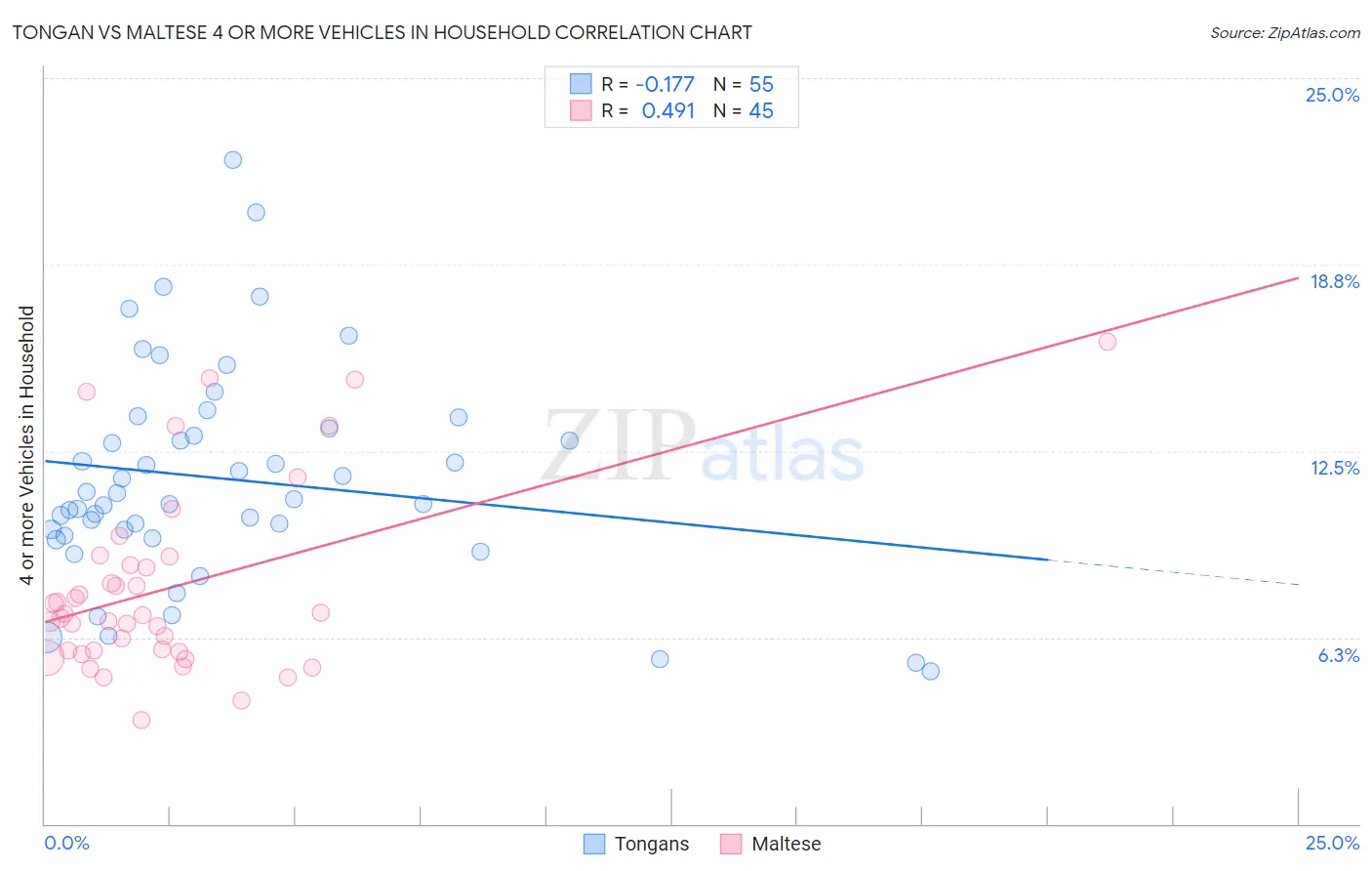 Tongan vs Maltese 4 or more Vehicles in Household