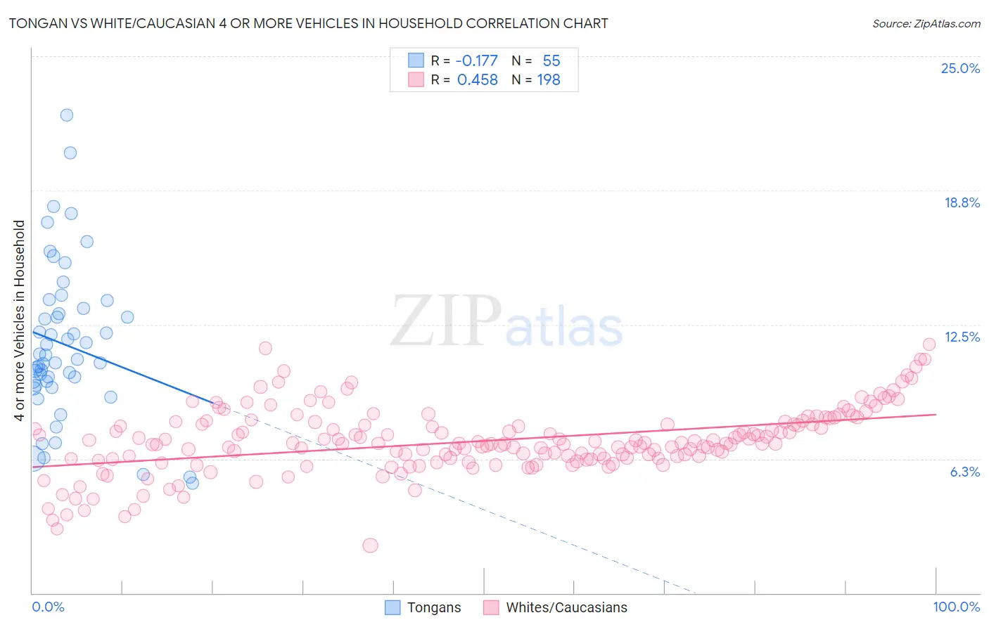 Tongan vs White/Caucasian 4 or more Vehicles in Household