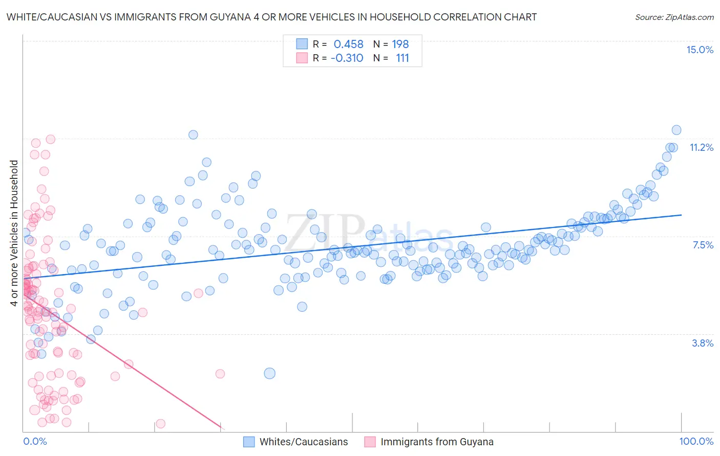 White/Caucasian vs Immigrants from Guyana 4 or more Vehicles in Household