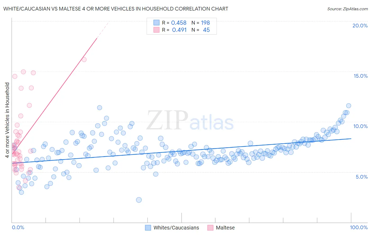 White/Caucasian vs Maltese 4 or more Vehicles in Household