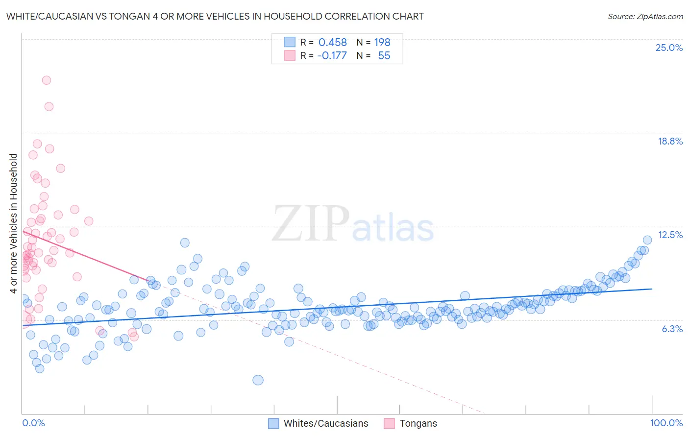 White/Caucasian vs Tongan 4 or more Vehicles in Household