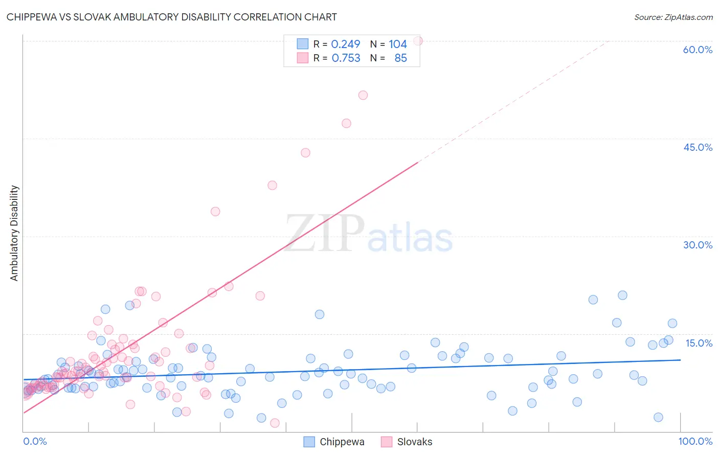 Chippewa vs Slovak Ambulatory Disability