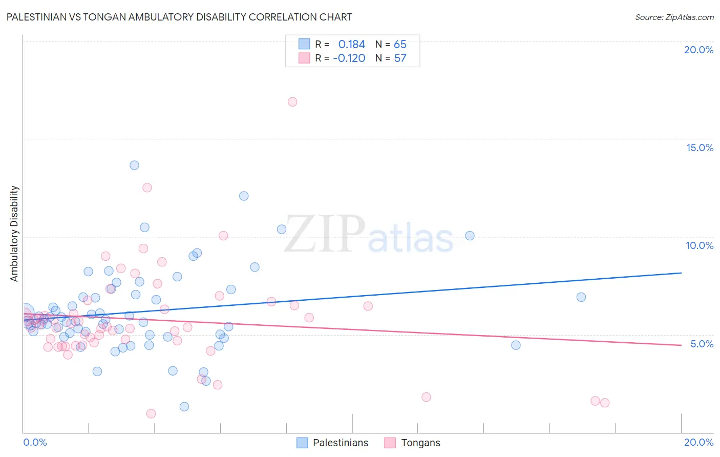 Palestinian vs Tongan Ambulatory Disability