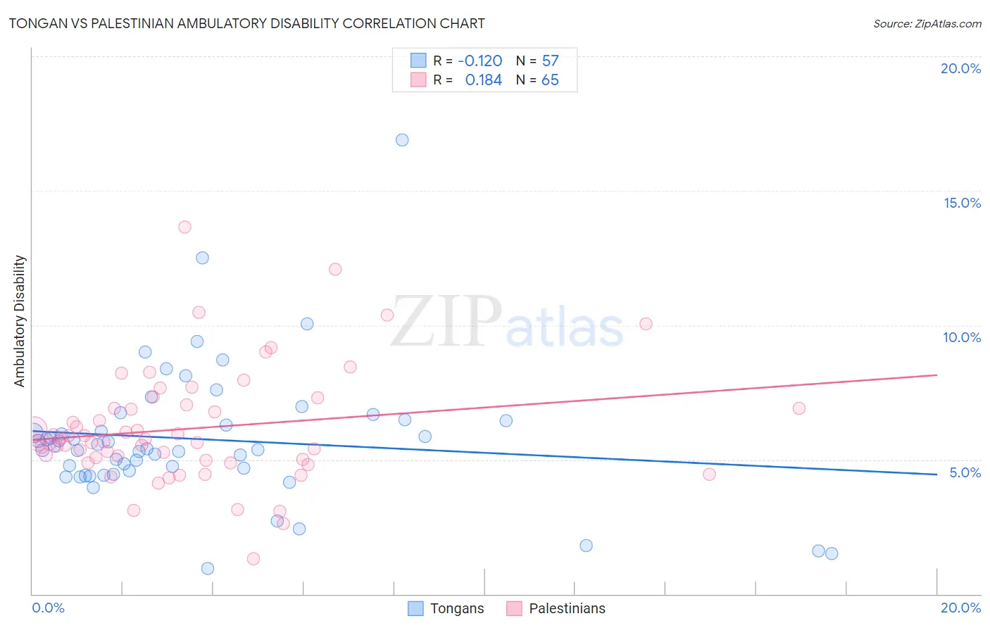 Tongan vs Palestinian Ambulatory Disability