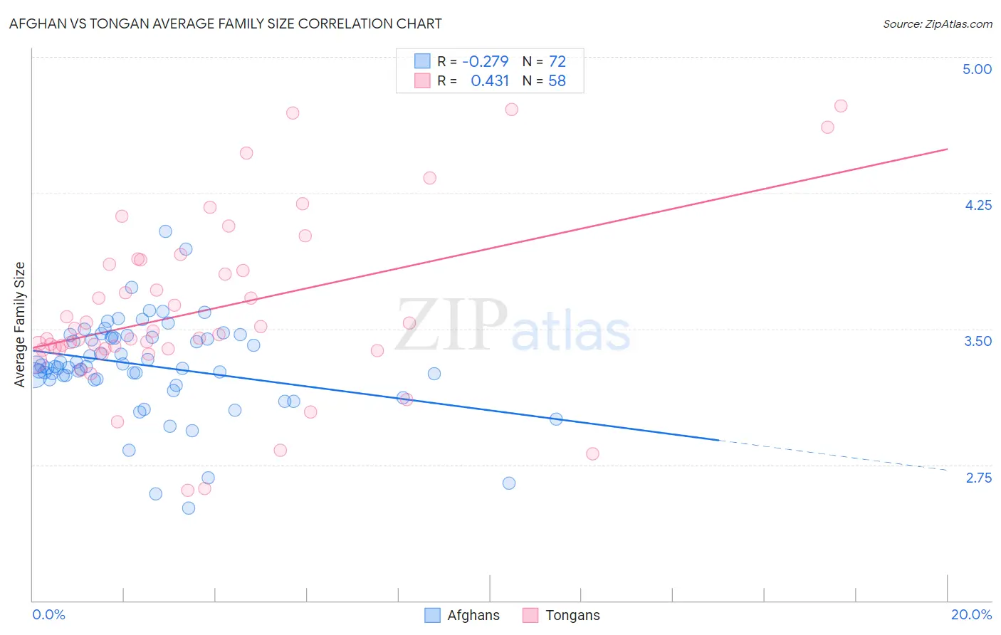 Afghan vs Tongan Average Family Size