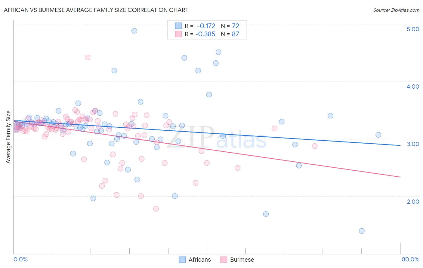African vs Burmese Average Family Size