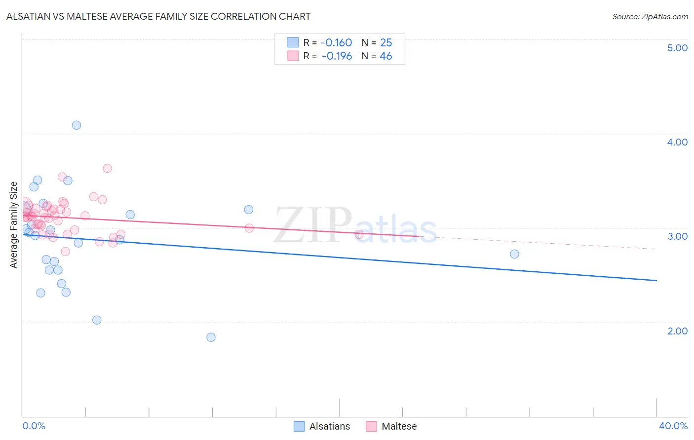 Alsatian vs Maltese Average Family Size