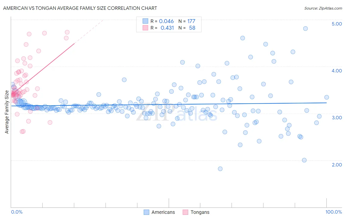 American vs Tongan Average Family Size