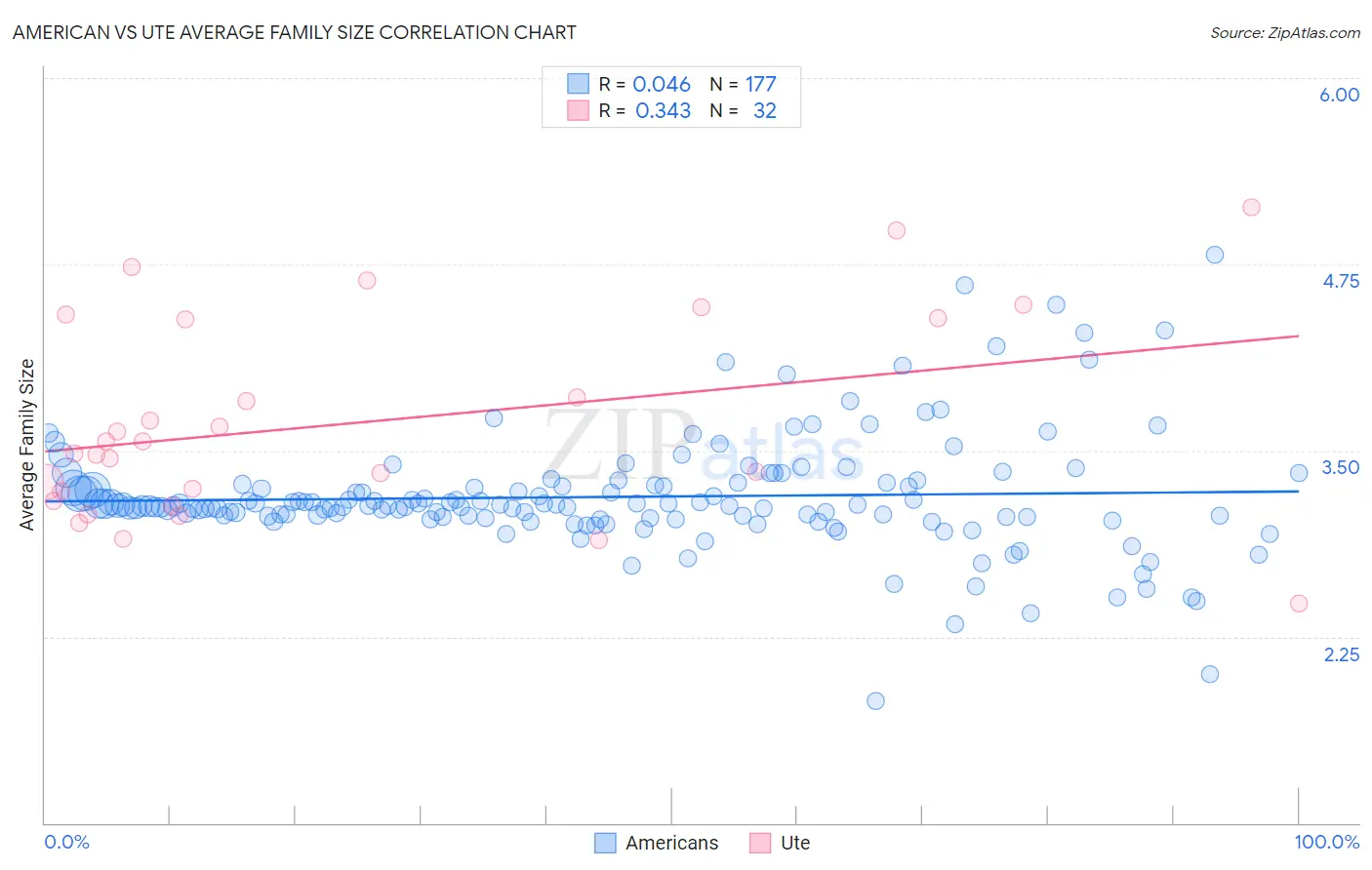 American vs Ute Average Family Size