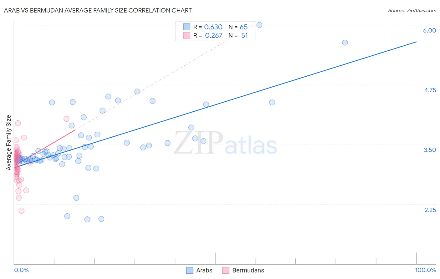 Arab vs Bermudan Average Family Size