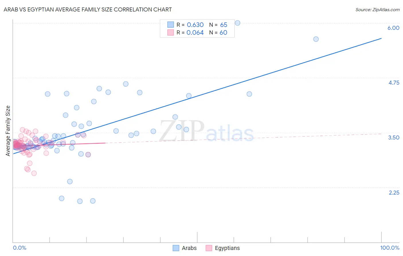 Arab vs Egyptian Average Family Size