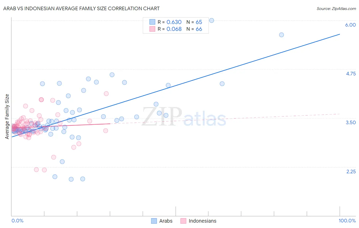 Arab vs Indonesian Average Family Size