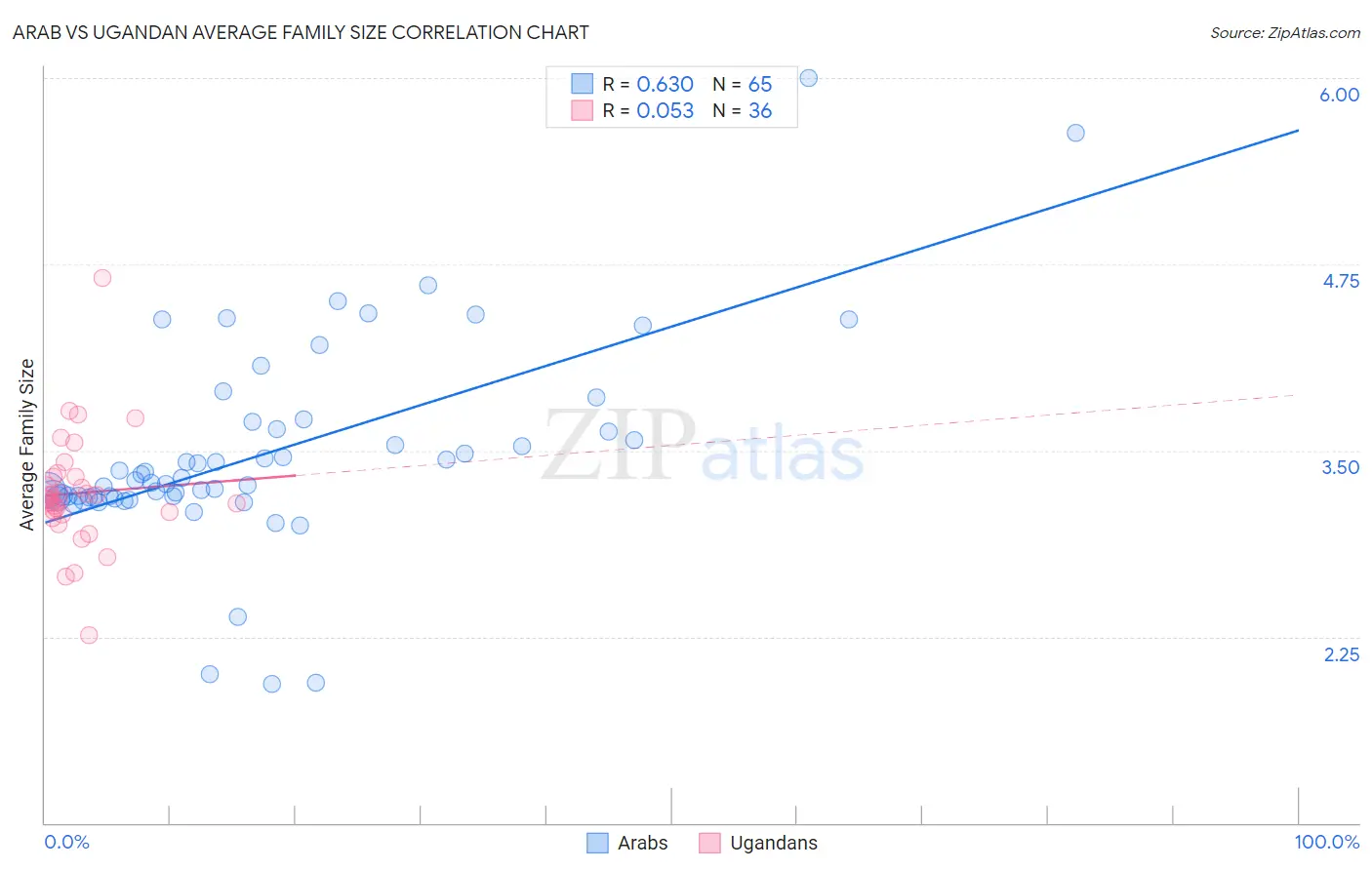 Arab vs Ugandan Average Family Size