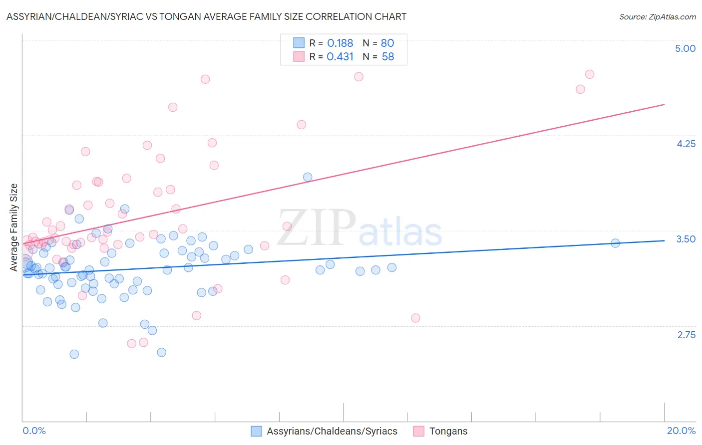 Assyrian/Chaldean/Syriac vs Tongan Average Family Size