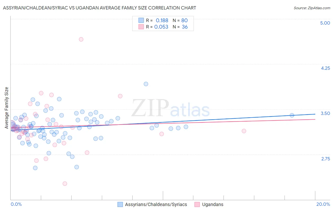 Assyrian/Chaldean/Syriac vs Ugandan Average Family Size