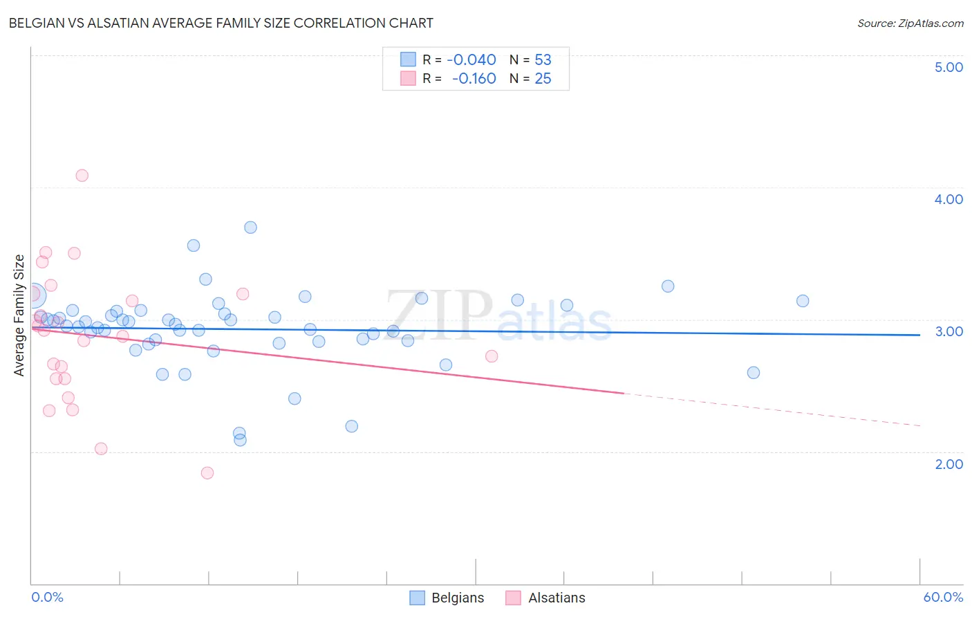 Belgian vs Alsatian Average Family Size