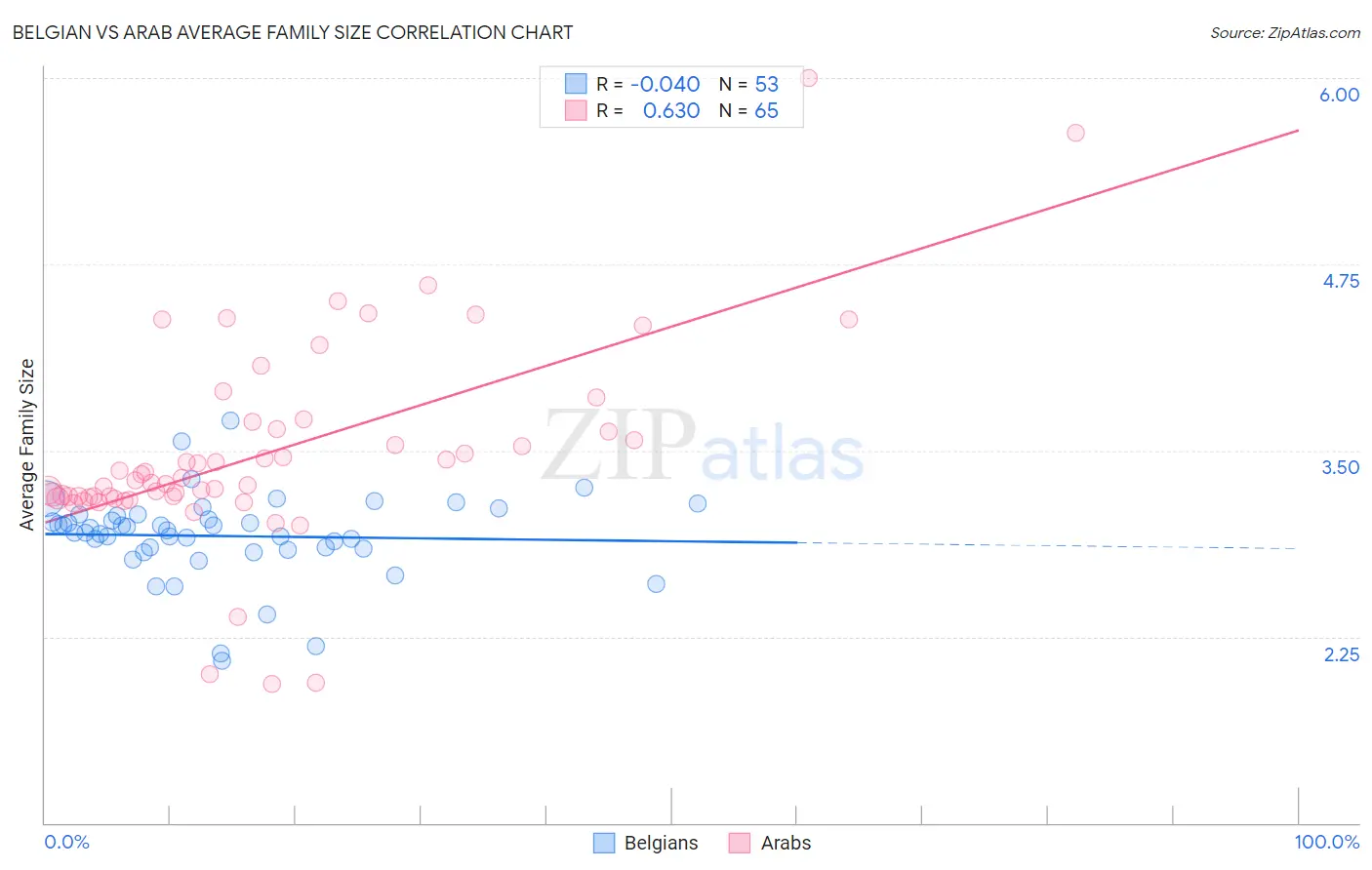 Belgian vs Arab Average Family Size