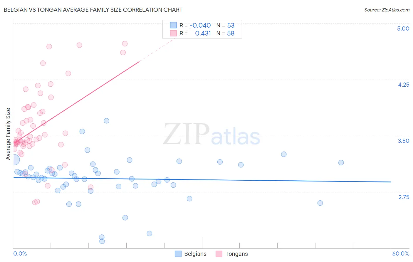Belgian vs Tongan Average Family Size