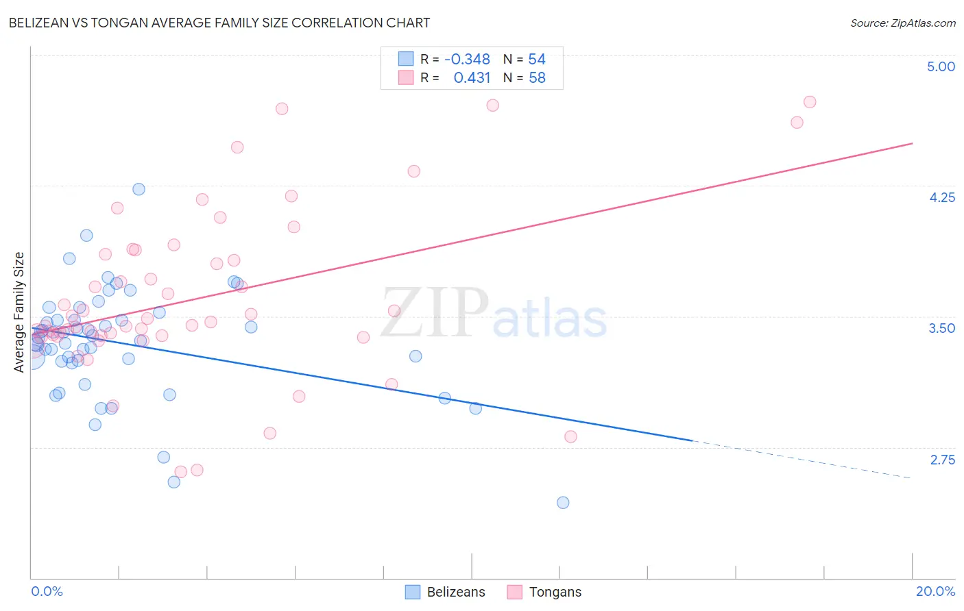 Belizean vs Tongan Average Family Size