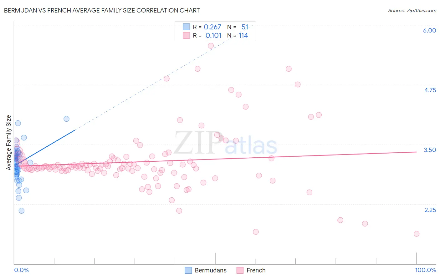 Bermudan vs French Average Family Size