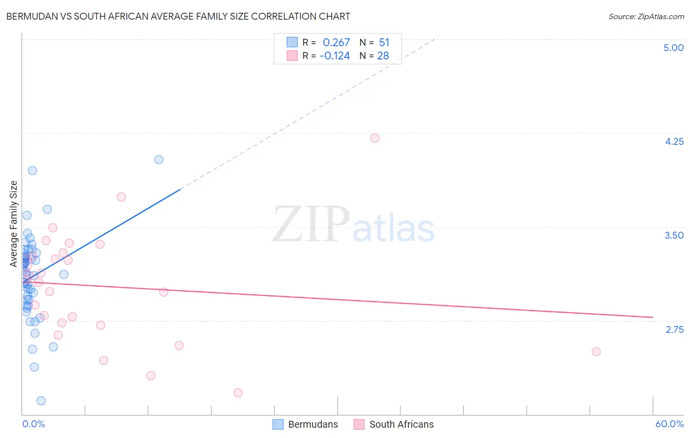 Bermudan vs South African Average Family Size